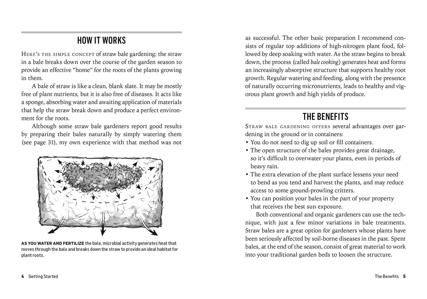 Growing Vegetables in Straw Bales: Easy Planting, Less Weeding, Early Harvests. A Storey BASICS Title