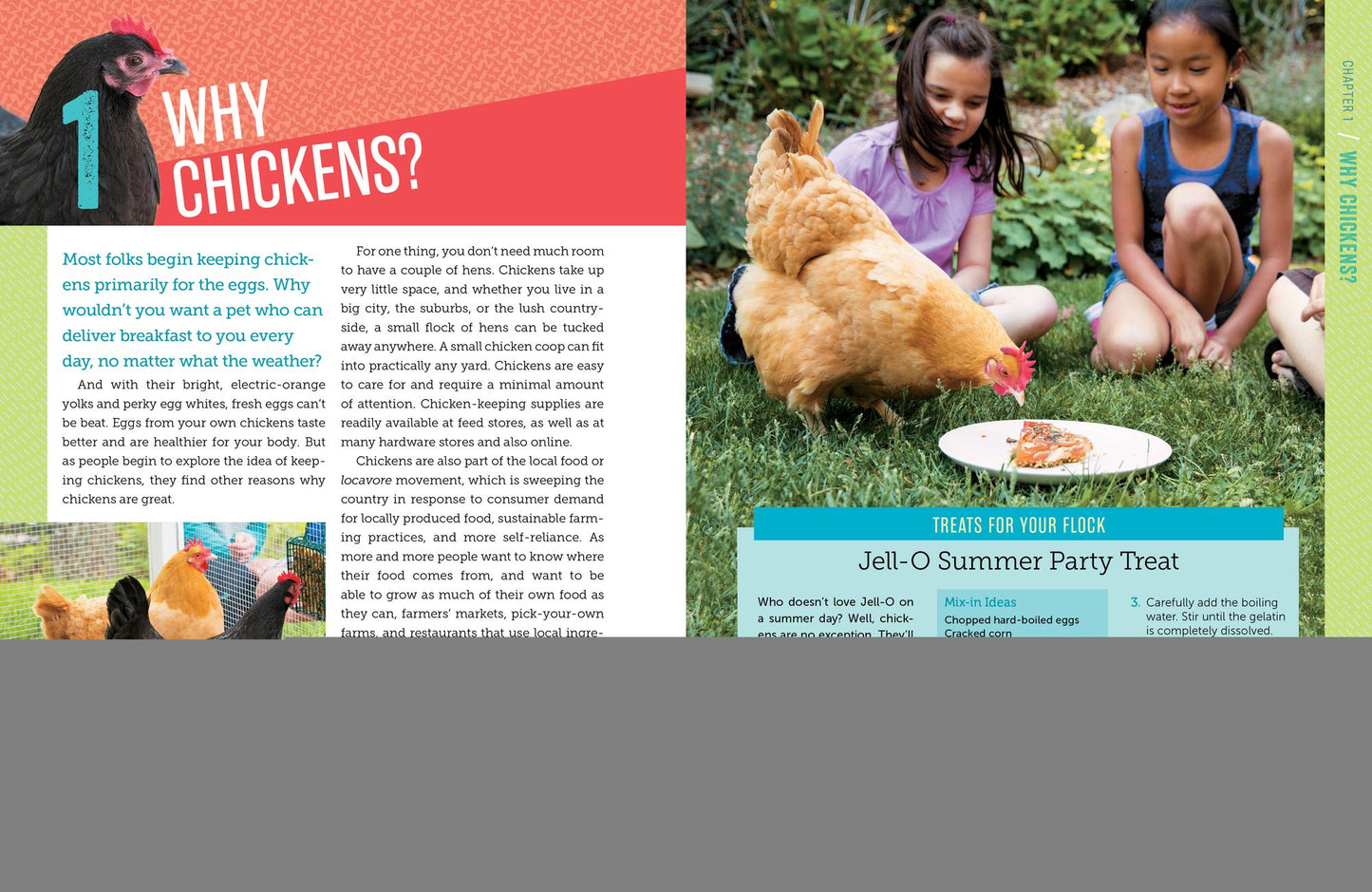 A Kid's Guide to Keeping Chickens: Best Breeds, Creating a Home, Care and Handling, Outdoor Fun, Crafts and Treats