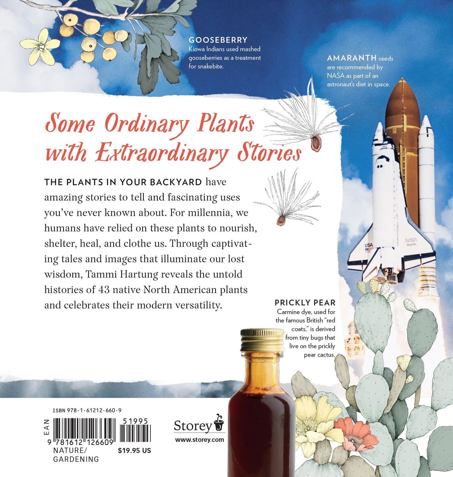 Cattail Moonshine & Milkweed Medicine: The Curious Stories of 43 Amazing North American Native Plants