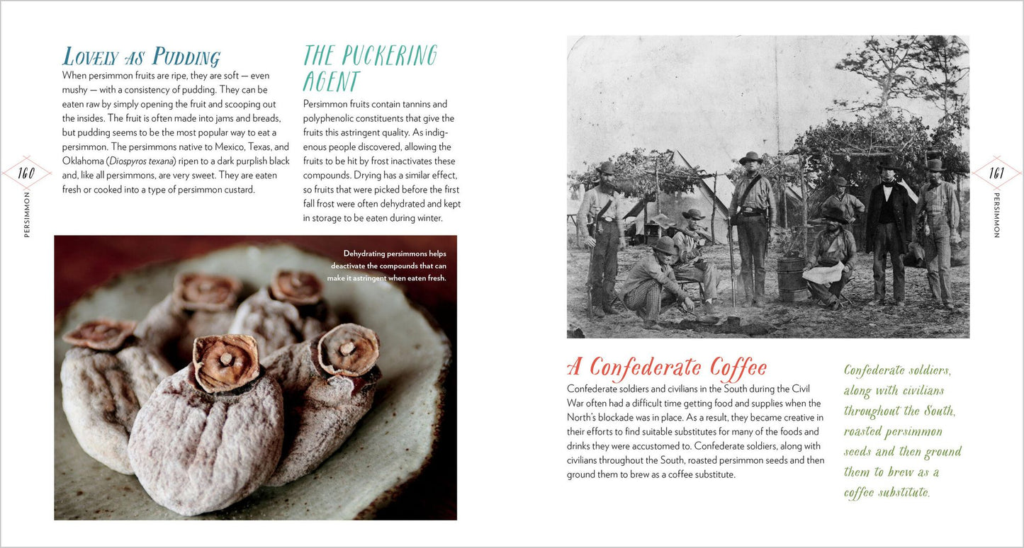 Cattail Moonshine & Milkweed Medicine: The Curious Stories of 43 Amazing North American Native Plants