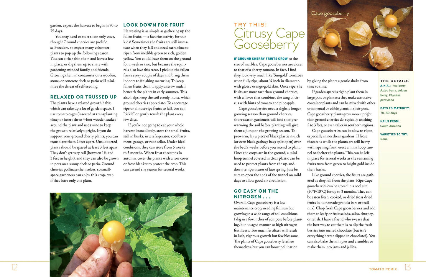 Niki Jabbour's Veggie Garden Remix: 224 New Plants to Shake Up Your Garden and Add Variety, Flavor, and Fun