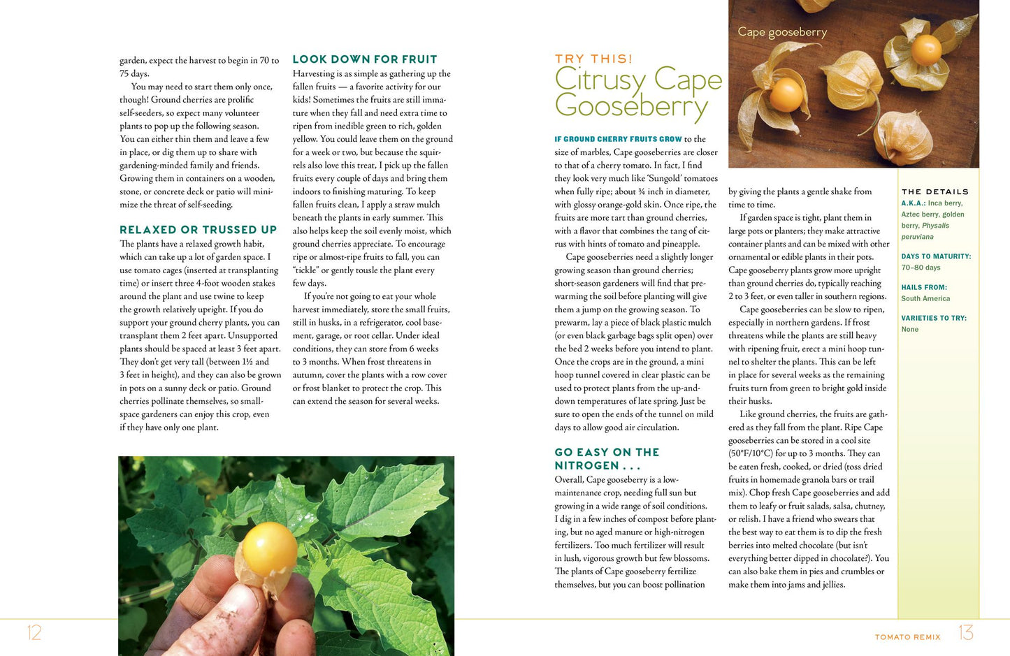 Niki Jabbour's Veggie Garden Remix: 224 New Plants to Shake Up Your Garden and Add Variety, Flavor, and Fun