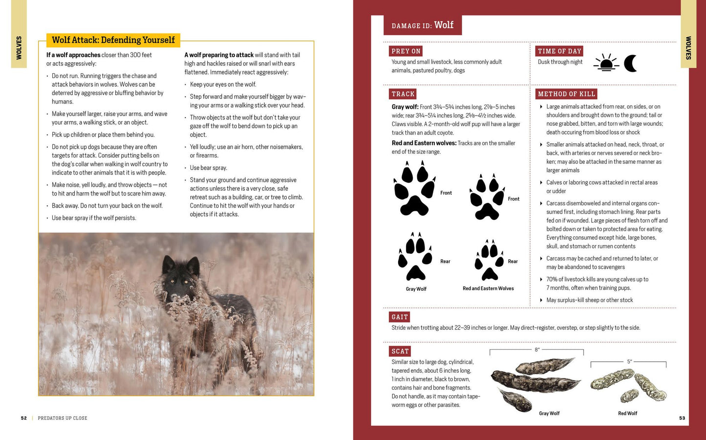 The Encyclopedia of Animal Predators: Learn about Each Predator's Traits and Behaviors; Identify the Tracks and Signs of More Than 50 Predators; Protect Your Livestock, Poultry, and Pets