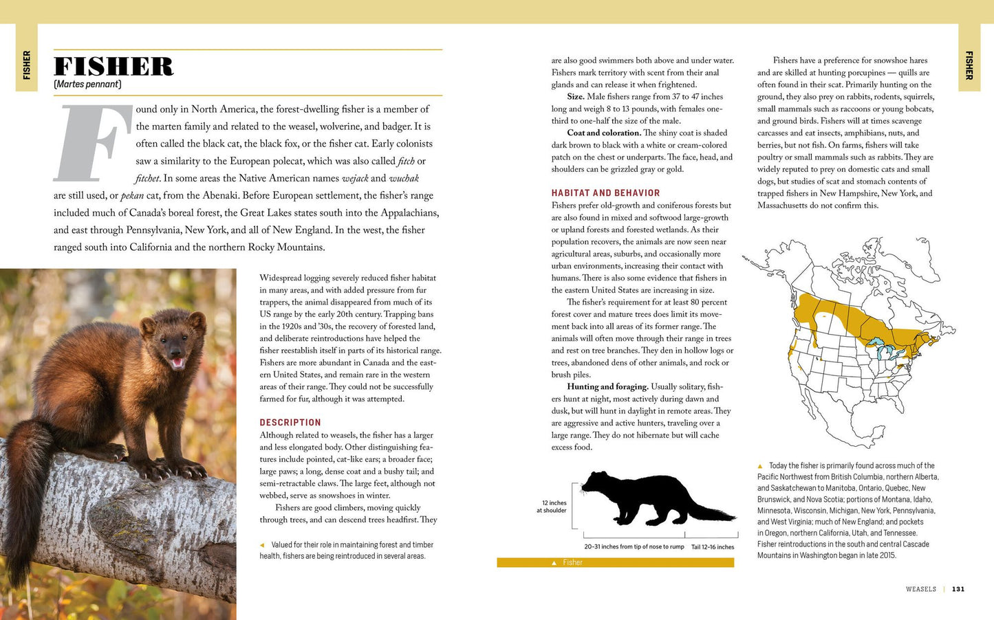 The Encyclopedia of Animal Predators: Learn about Each Predator's Traits and Behaviors; Identify the Tracks and Signs of More Than 50 Predators; Protect Your Livestock, Poultry, and Pets