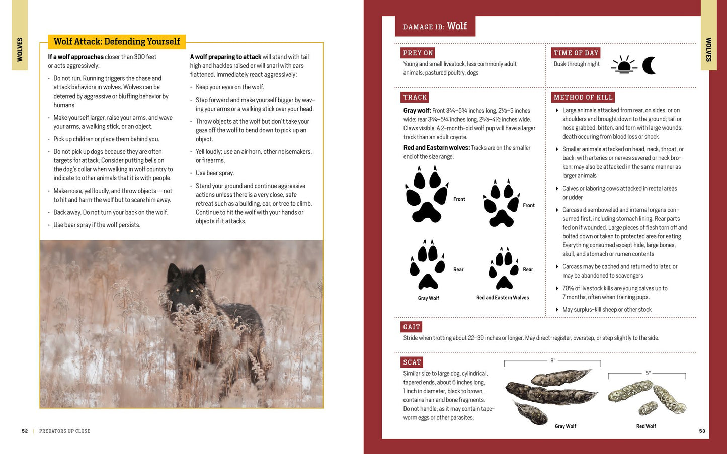 The Encyclopedia of Animal Predators: Learn about Each Predator's Traits and Behaviors; Identify the Tracks and Signs of More Than 50 Predators; Protect Your Livestock, Poultry, and Pets