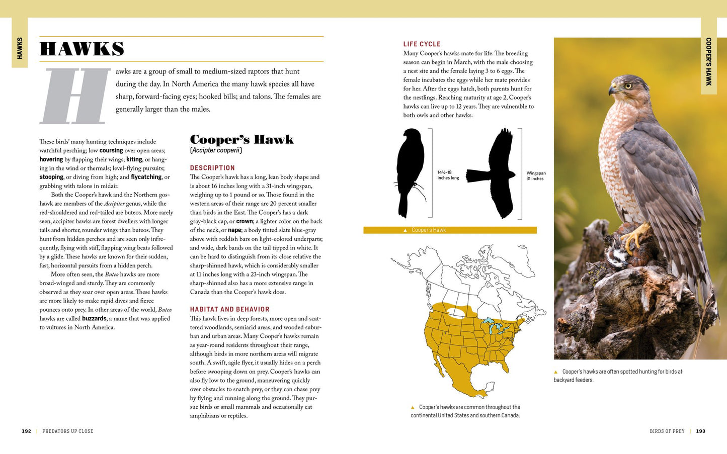 The Encyclopedia of Animal Predators: Learn about Each Predator's Traits and Behaviors; Identify the Tracks and Signs of More Than 50 Predators; Protect Your Livestock, Poultry, and Pets