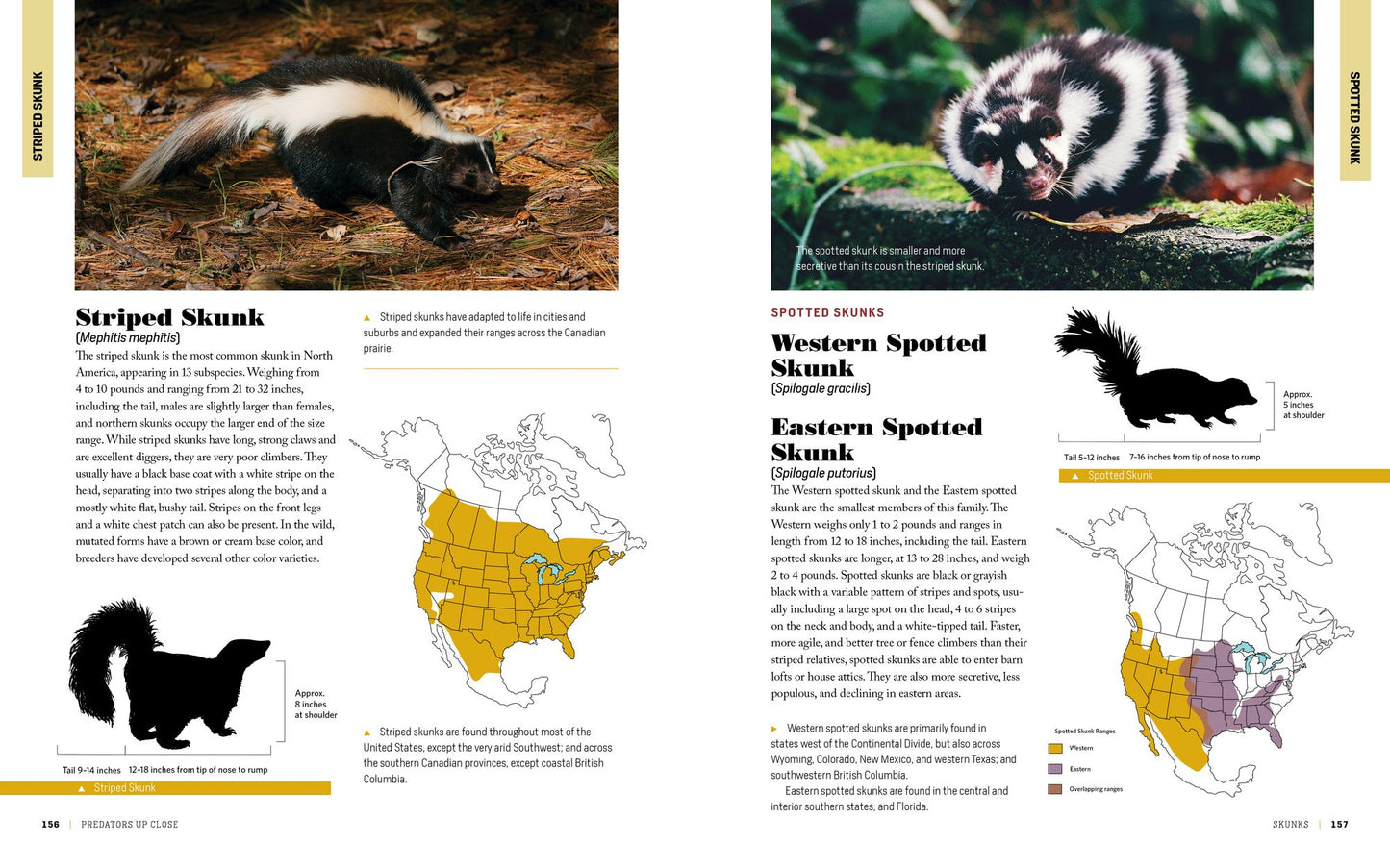 The Encyclopedia of Animal Predators: Learn about Each Predator's Traits and Behaviors; Identify the Tracks and Signs of More Than 50 Predators; Protect Your Livestock, Poultry, and Pets