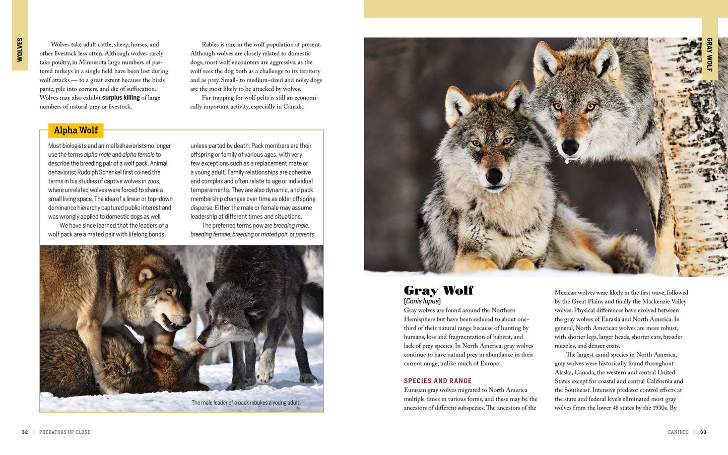 The Encyclopedia of Animal Predators: Learn about Each Predator's Traits and Behaviors; Identify the Tracks and Signs of More Than 50 Predators; Protect Your Livestock, Poultry, and Pets