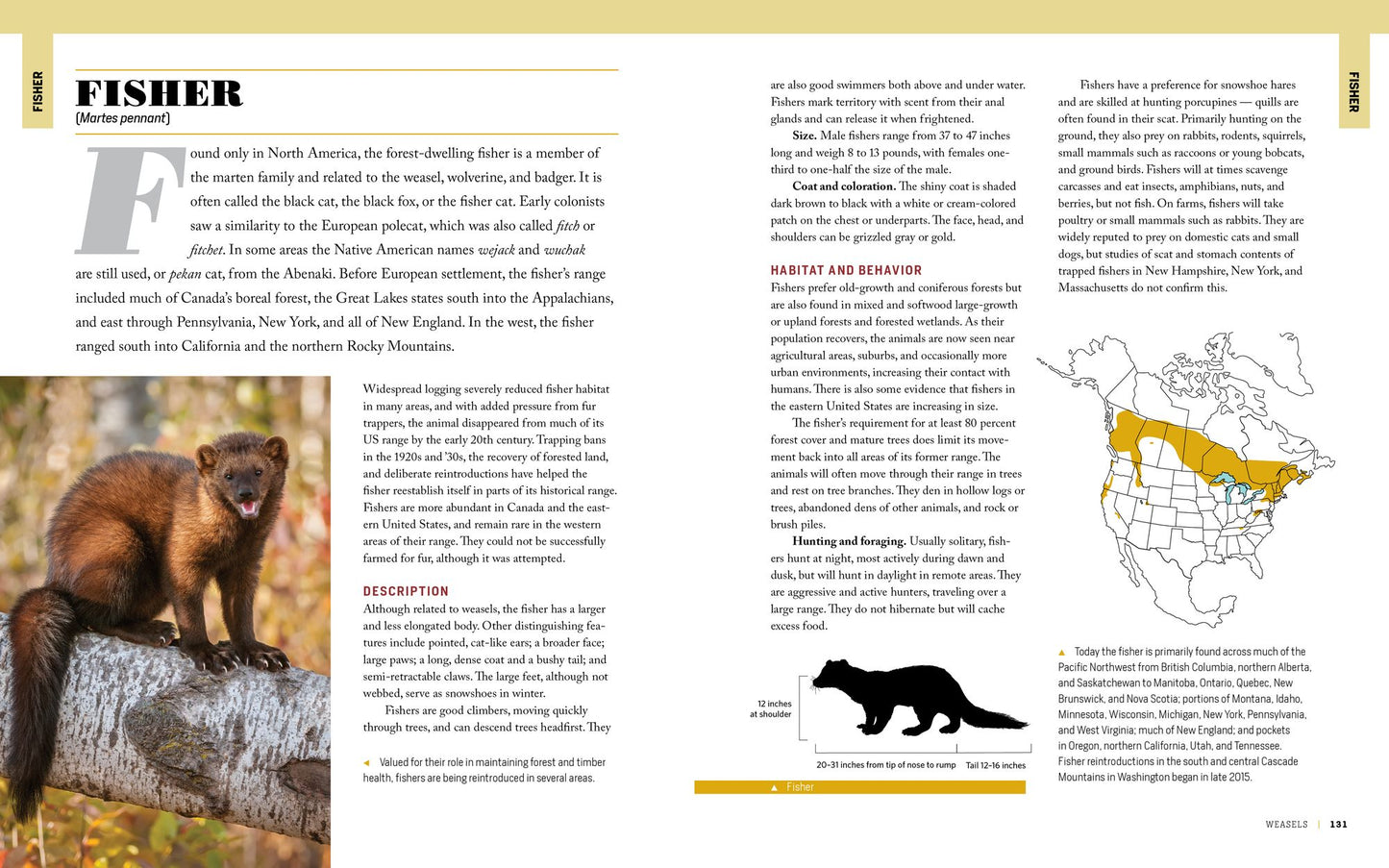 The Encyclopedia of Animal Predators: Learn about Each Predator's Traits and Behaviors; Identify the Tracks and Signs of More Than 50 Predators; Protect Your Livestock, Poultry, and Pets