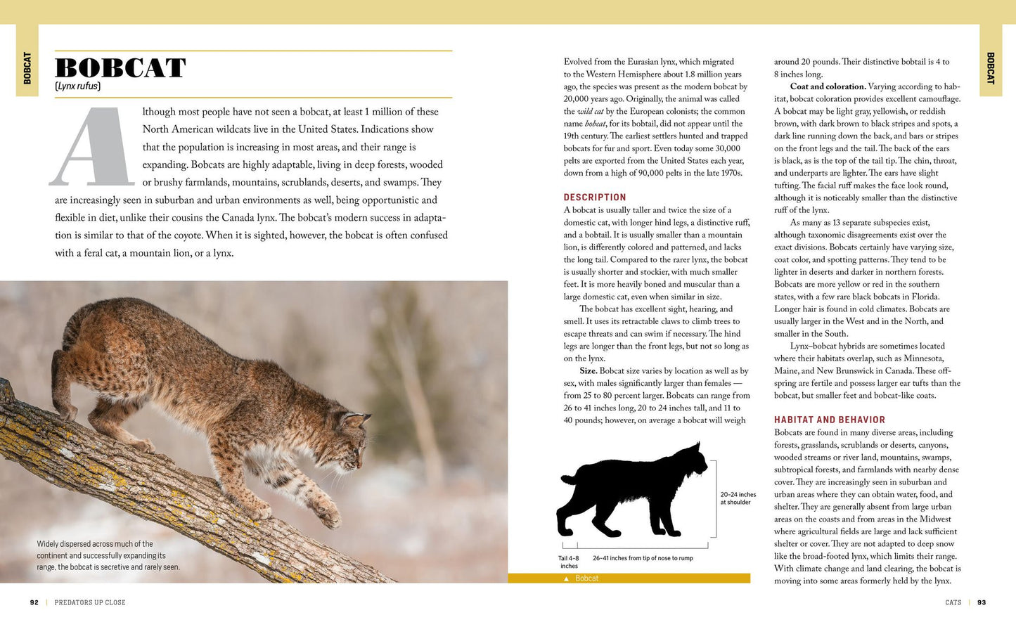 The Encyclopedia of Animal Predators: Learn about Each Predator's Traits and Behaviors; Identify the Tracks and Signs of More Than 50 Predators; Protect Your Livestock, Poultry, and Pets