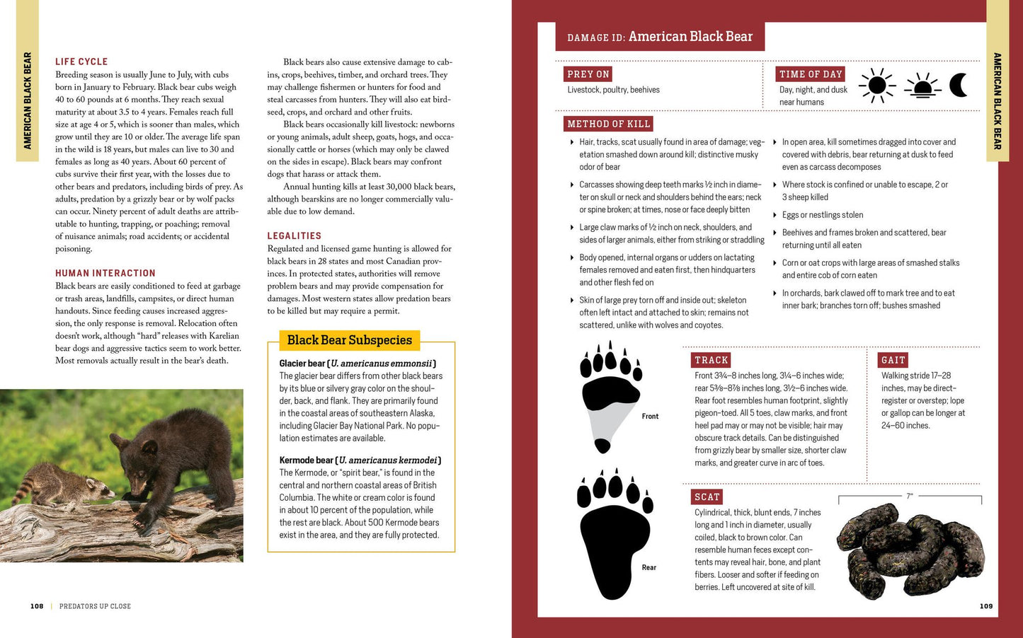 The Encyclopedia of Animal Predators: Learn about Each Predator's Traits and Behaviors; Identify the Tracks and Signs of More Than 50 Predators; Protect Your Livestock, Poultry, and Pets
