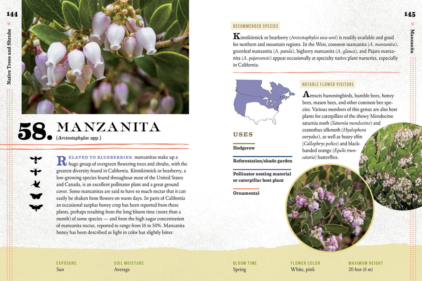 100 Plants to Feed the Bees: Provide a Healthy Habitat to Help Pollinators Thrive