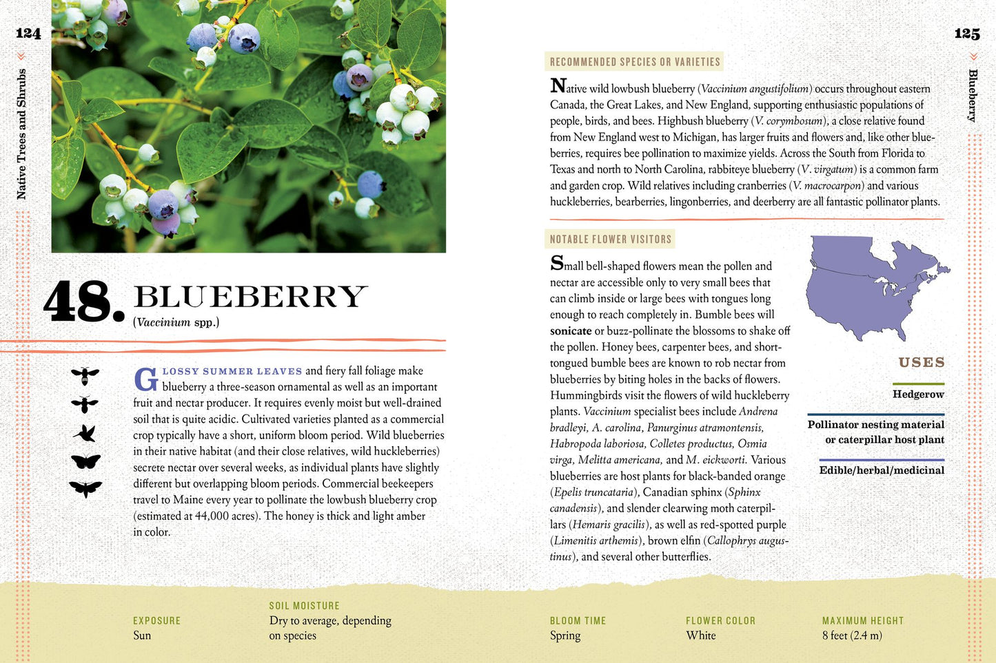 100 Plants to Feed the Bees: Provide a Healthy Habitat to Help Pollinators Thrive