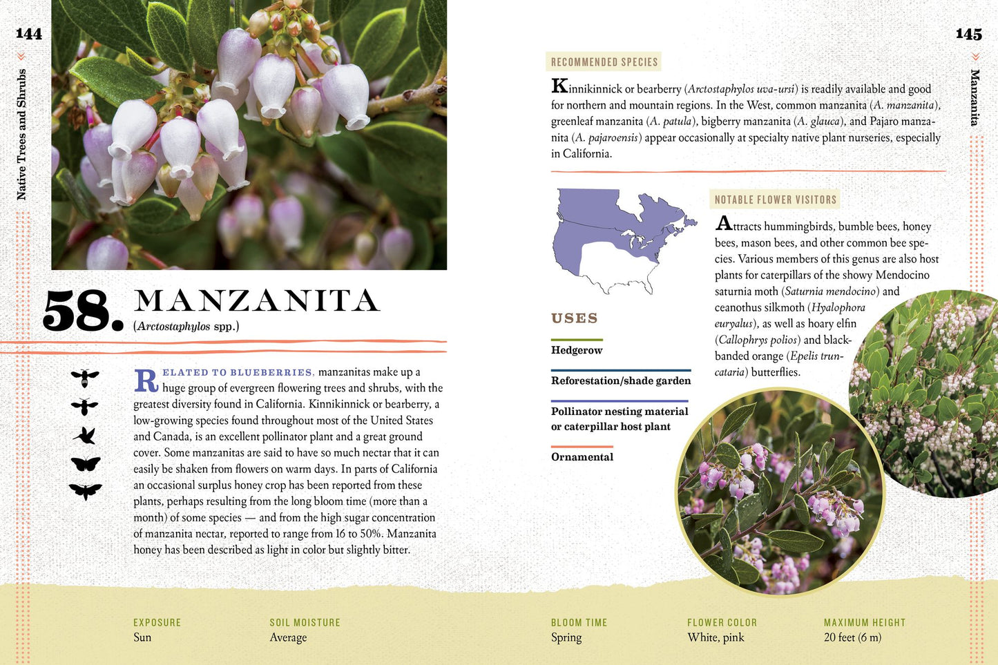 100 Plants to Feed the Bees: Provide a Healthy Habitat to Help Pollinators Thrive