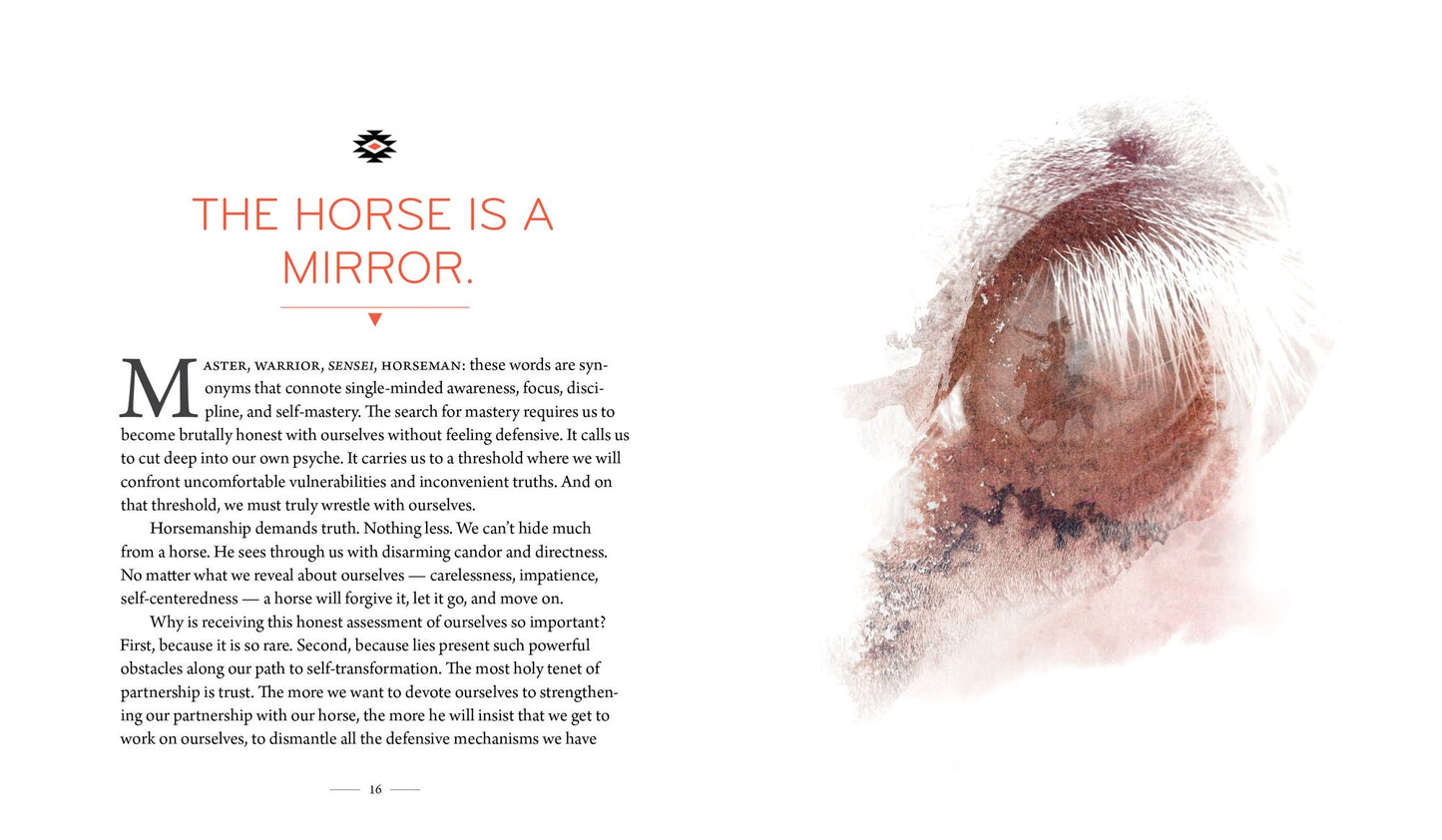 Lead with Your Heart . . . Lessons from a Life with Horses
