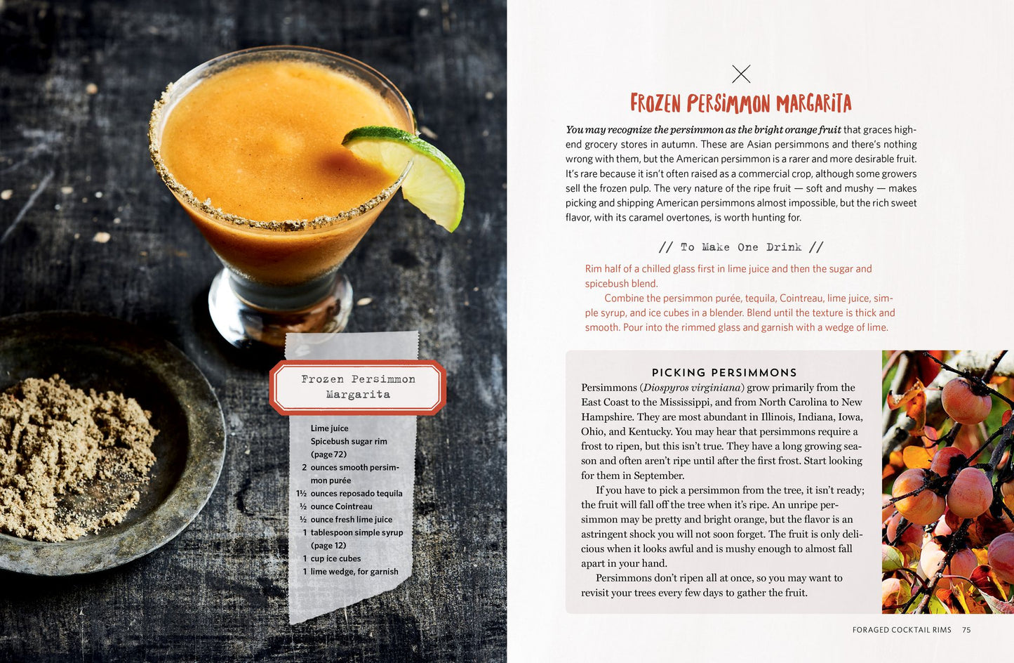 The Wildcrafted Cocktail: Make Your Own Foraged Syrups, Bitters, Infusions, and Garnishes; Includes Recipes for 45 One-of-a-Kind Mixed Drinks