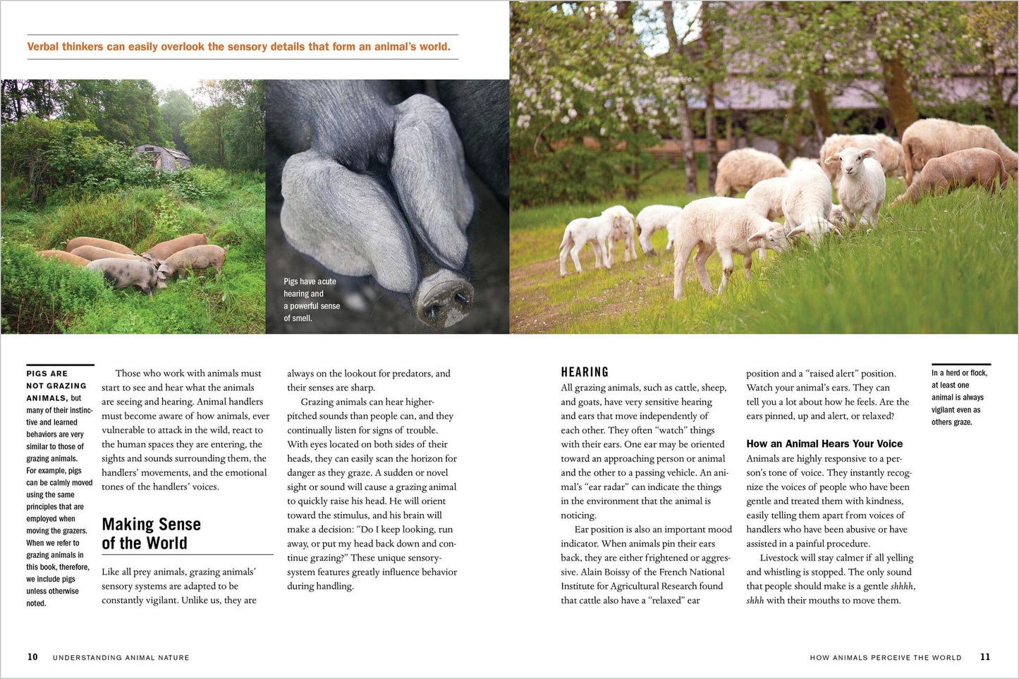 Temple Grandin's Guide to Working with Farm Animals: Safe, Humane Livestock Handling Practices for the Small Farm