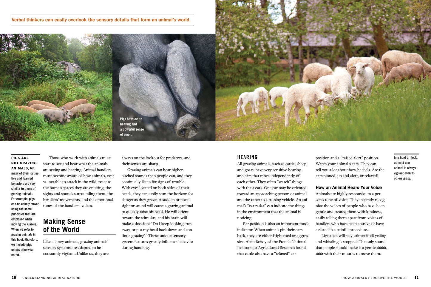 Temple Grandin's Guide to Working with Farm Animals: Safe, Humane Livestock Handling Practices for the Small Farm