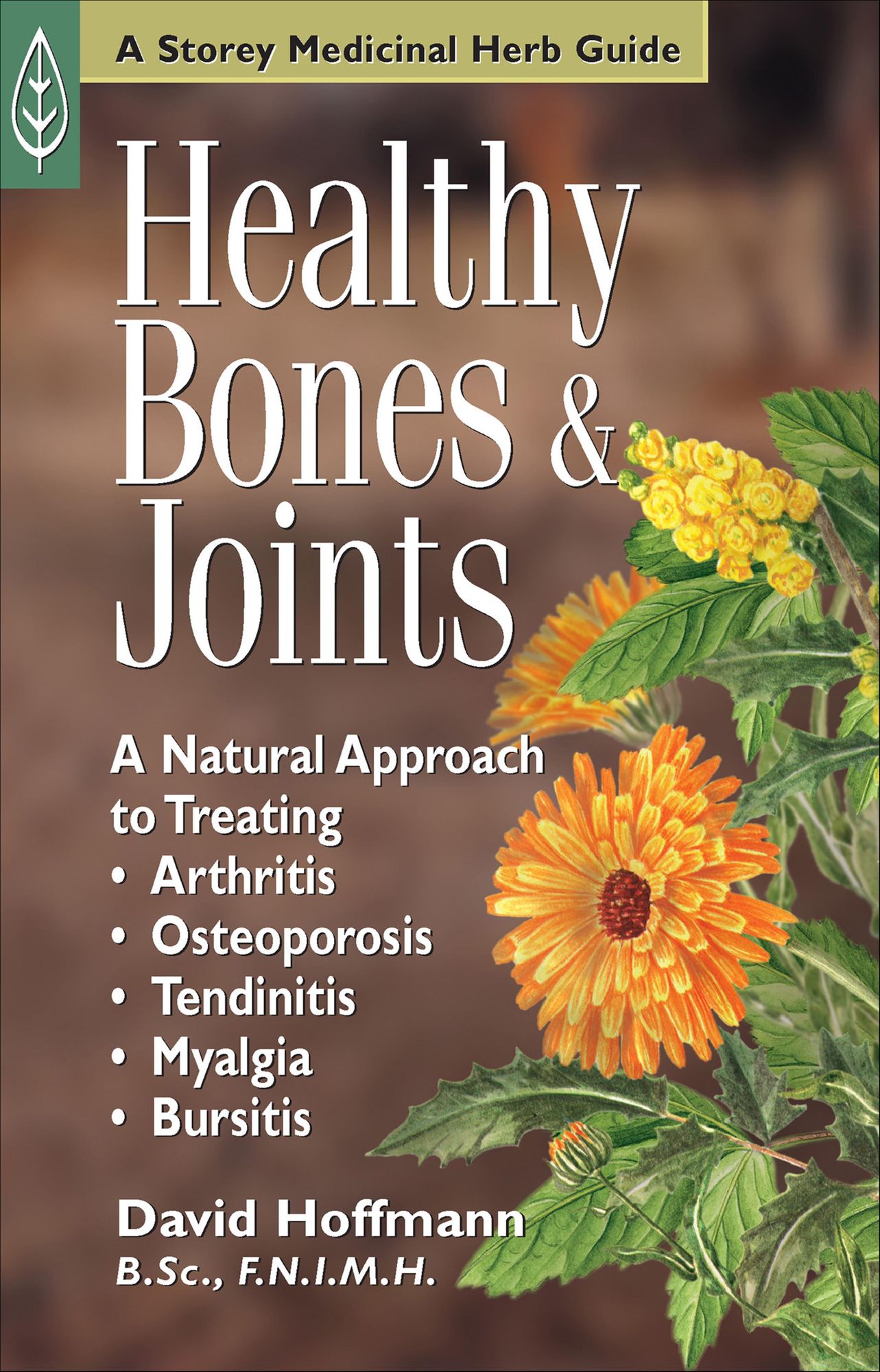 Healthy Bones & Joints: A Natural Approach to Treating Arthritis, Osteoporosis, Tendinitis, Myalgia & Bursitis