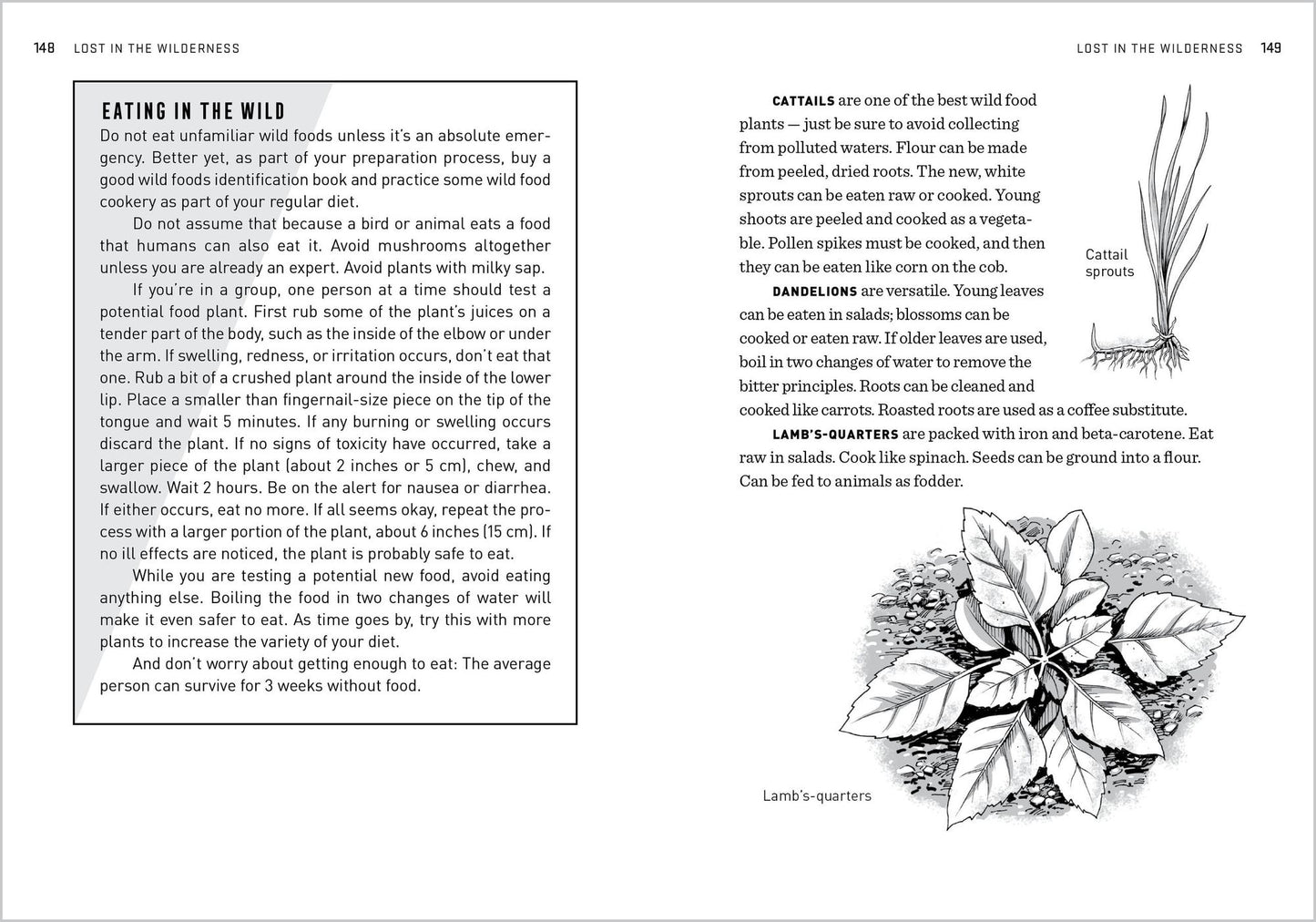 The Natural First Aid Handbook: Household Remedies, Herbal Treatments, and Basic Emergency Preparedness Everyone Should Know