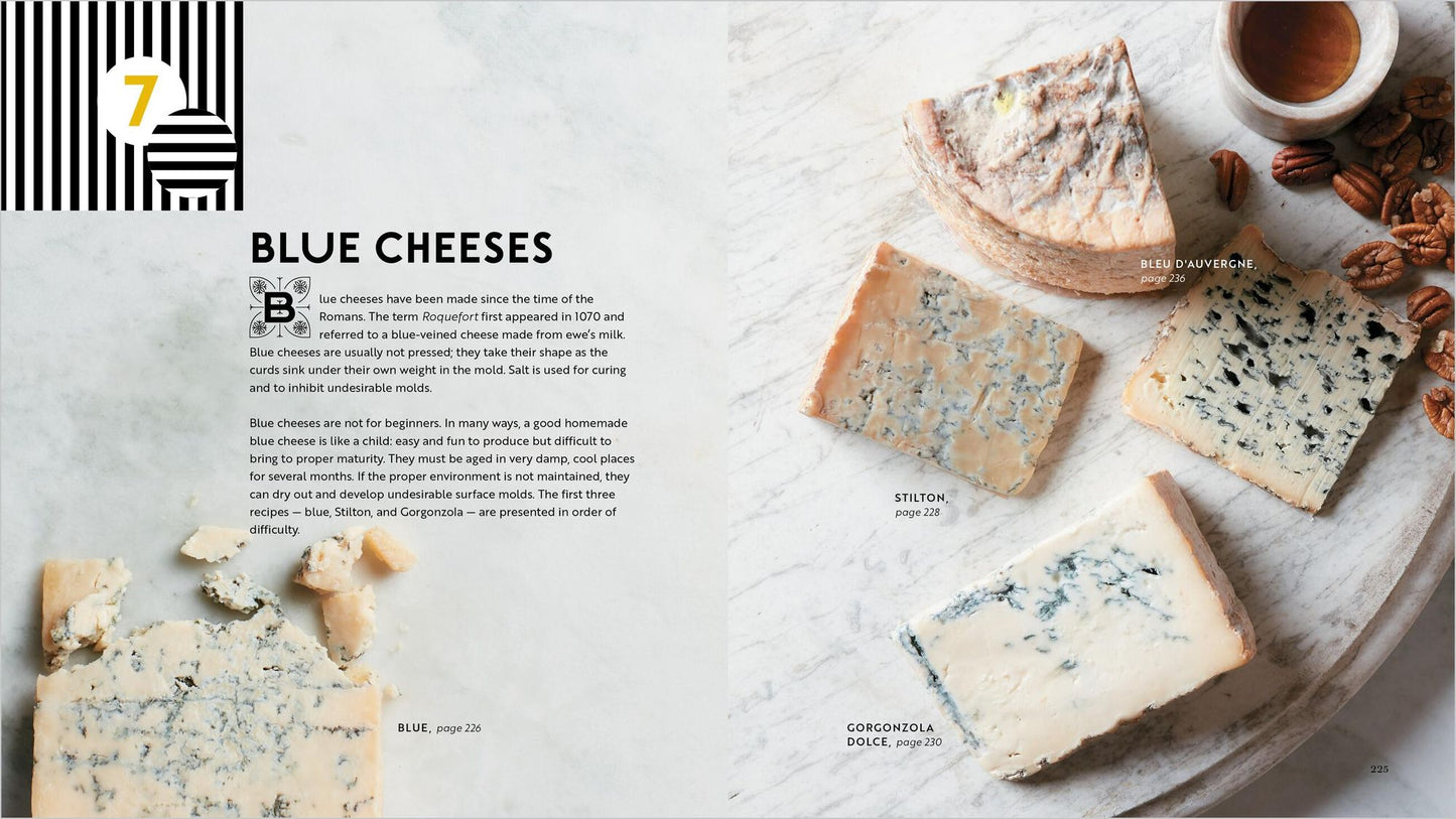 Home Cheese Making, 4th Edition: From Fresh and Soft to Firm, Blue, Goat's Milk, and More; Recipes for 100 Favorite Cheeses