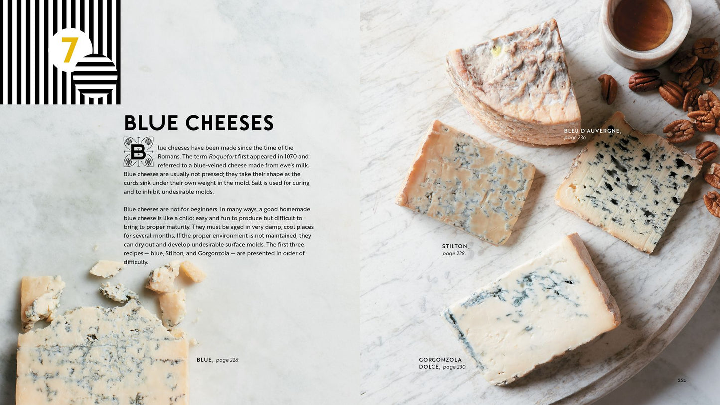 Home Cheese Making, 4th Edition: From Fresh and Soft to Firm, Blue, Goat's Milk, and More; Recipes for 100 Favorite Cheeses
