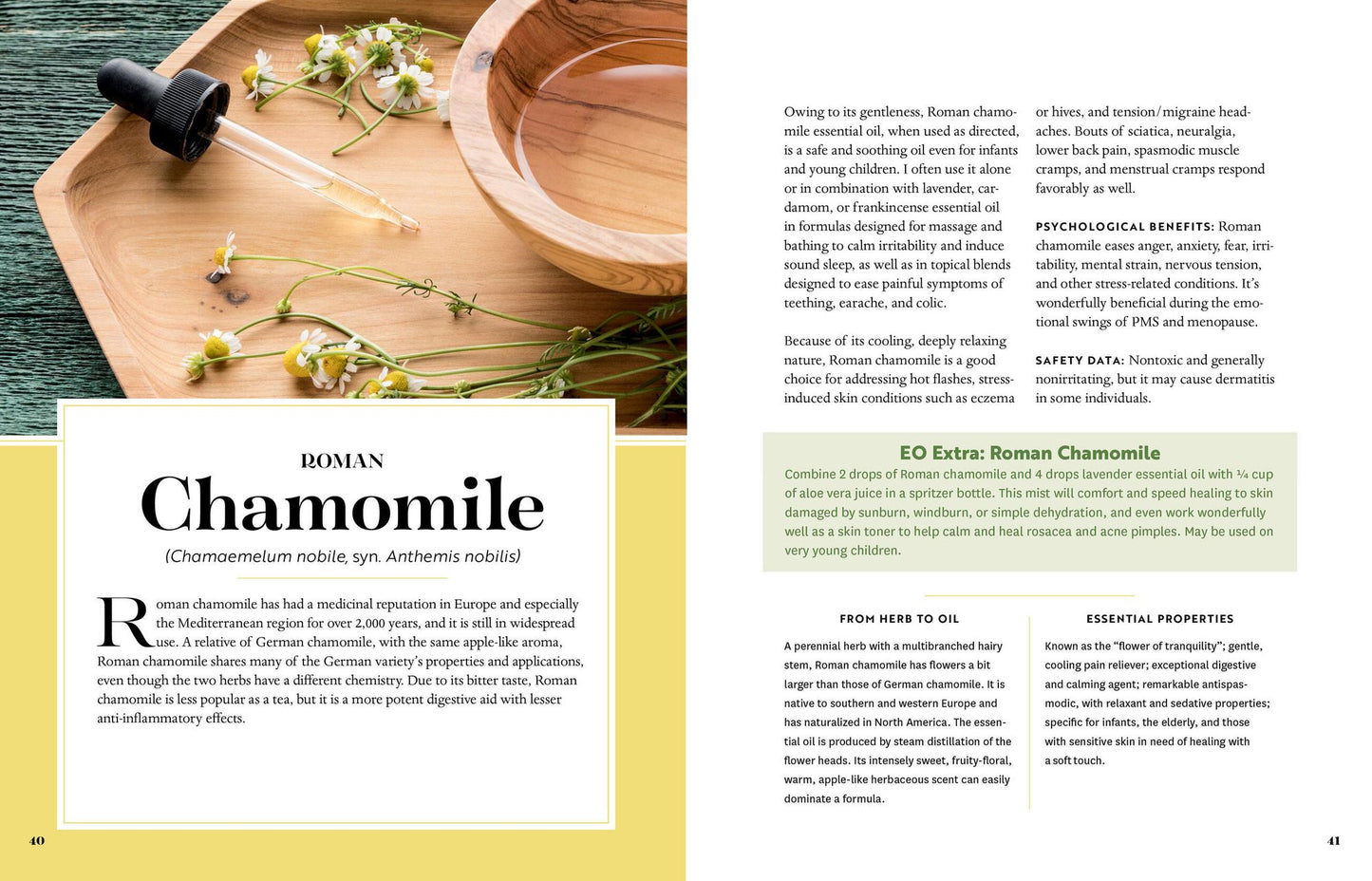 Stephanie Tourles's Essential Oils: A Beginner's Guide: Learn Safe, Effective Ways to Use 25 Popular Oils; Make 100 Aromatherapy Blends to Enhance Health; Soothe Common Ailments and Promote Well-Being