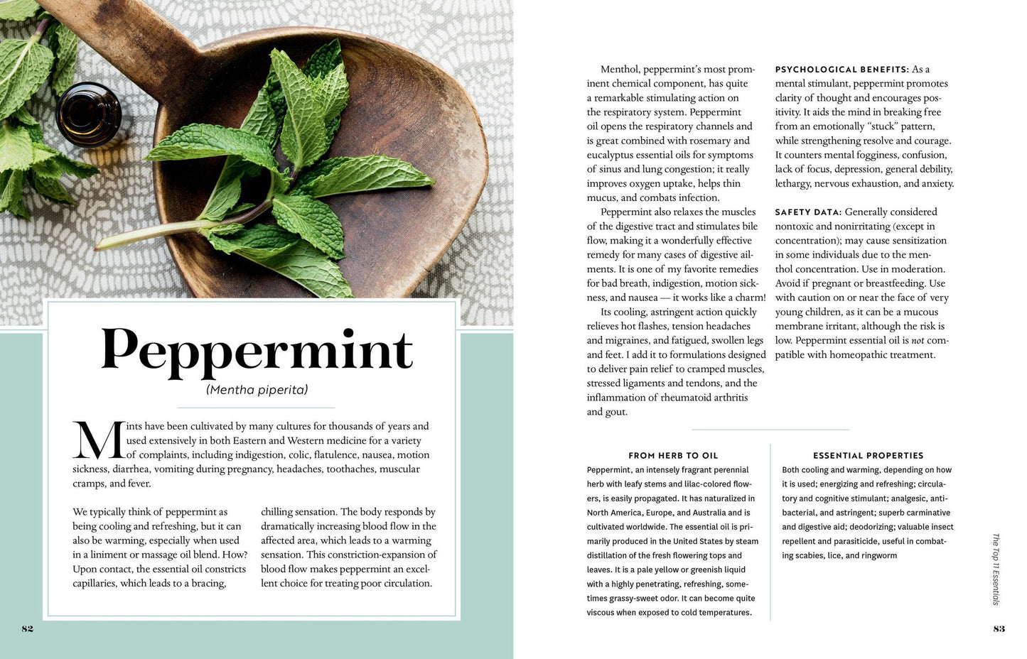 Stephanie Tourles's Essential Oils: A Beginner's Guide: Learn Safe, Effective Ways to Use 25 Popular Oils; Make 100 Aromatherapy Blends to Enhance Health; Soothe Common Ailments and Promote Well-Being