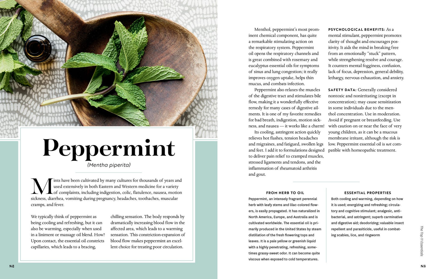 Stephanie Tourles's Essential Oils: A Beginner's Guide: Learn Safe, Effective Ways to Use 25 Popular Oils; Make 100 Aromatherapy Blends to Enhance Health; Soothe Common Ailments and Promote Well-Being