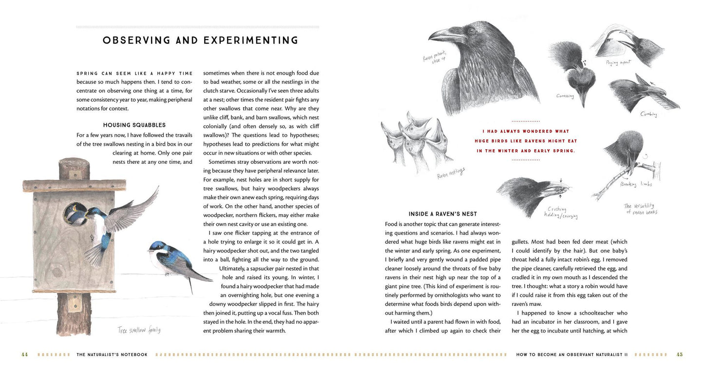 The Naturalist's Notebook: An Observation Guide and 5-Year Calendar-Journal for Tracking Changes in the Natural World Around You