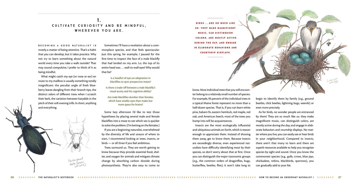 The Naturalist's Notebook: An Observation Guide and 5-Year Calendar-Journal for Tracking Changes in the Natural World Around You
