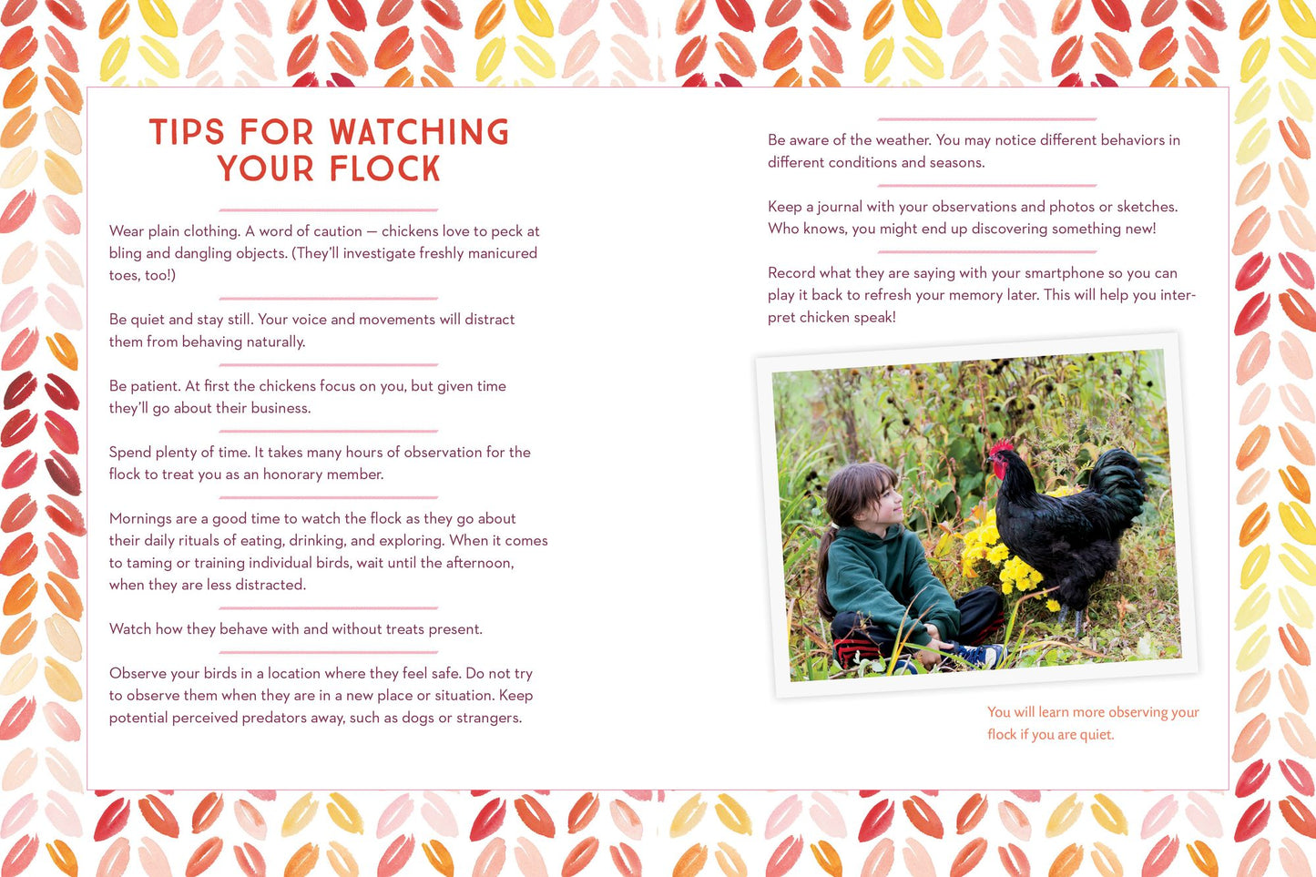 How to Speak Chicken: Why Your Chickens Do What They Do & Say What They Say