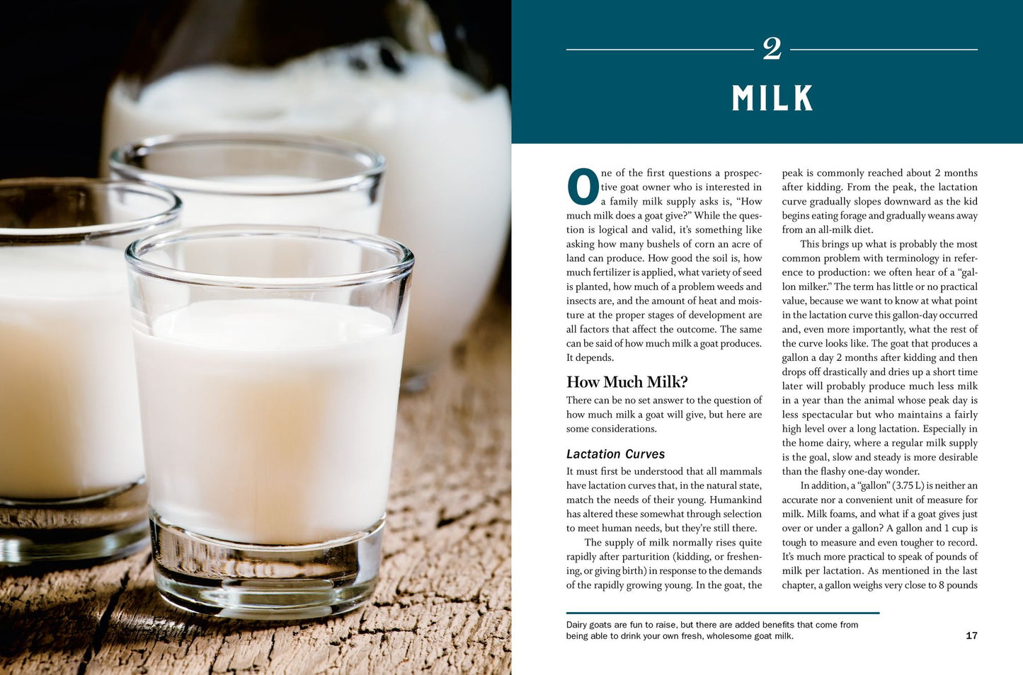 Storey's Guide to Raising Dairy Goats, 5th Edition: Breed Selection, Feeding, Fencing, Health Care, Dairying, Marketing