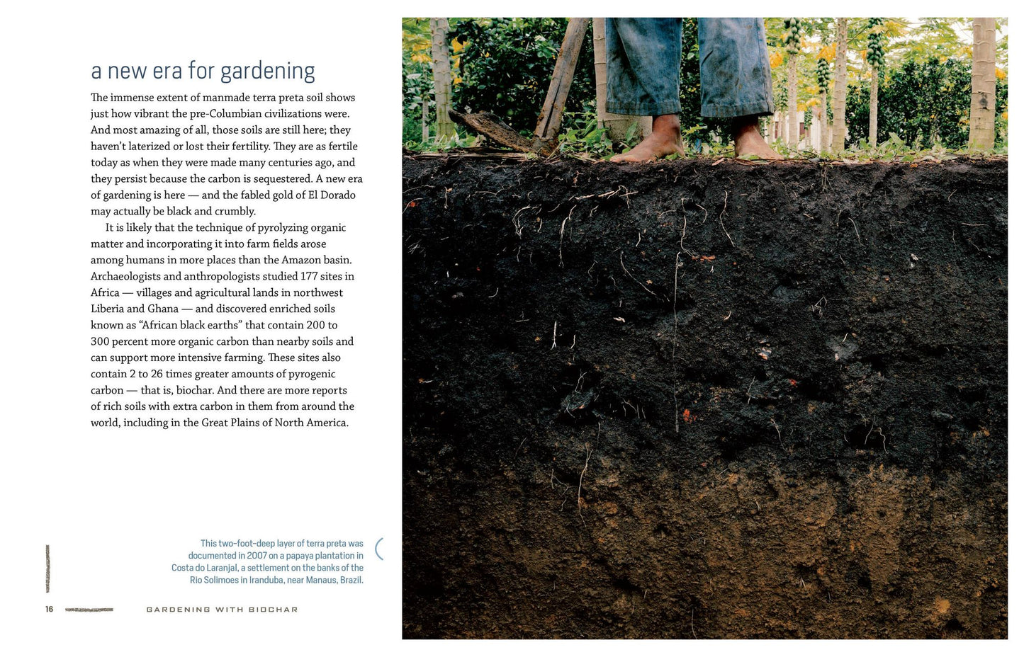 Gardening with Biochar: Supercharge Your Soil with Bioactivated Charcoal: Grow Healthier Plants, Create Nutrient-Rich Soil, and Increase Your Harvest