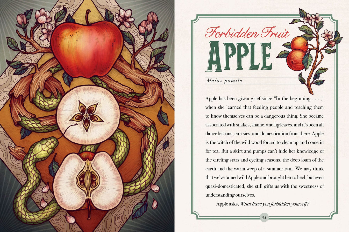 The Illustrated Herbiary: Guidance and Rituals from 36 Bewitching Botanicals
