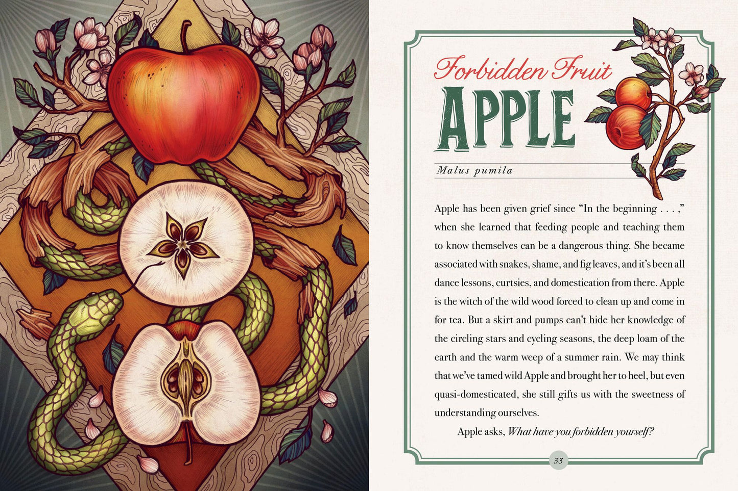 The Illustrated Herbiary: Guidance and Rituals from 36 Bewitching Botanicals