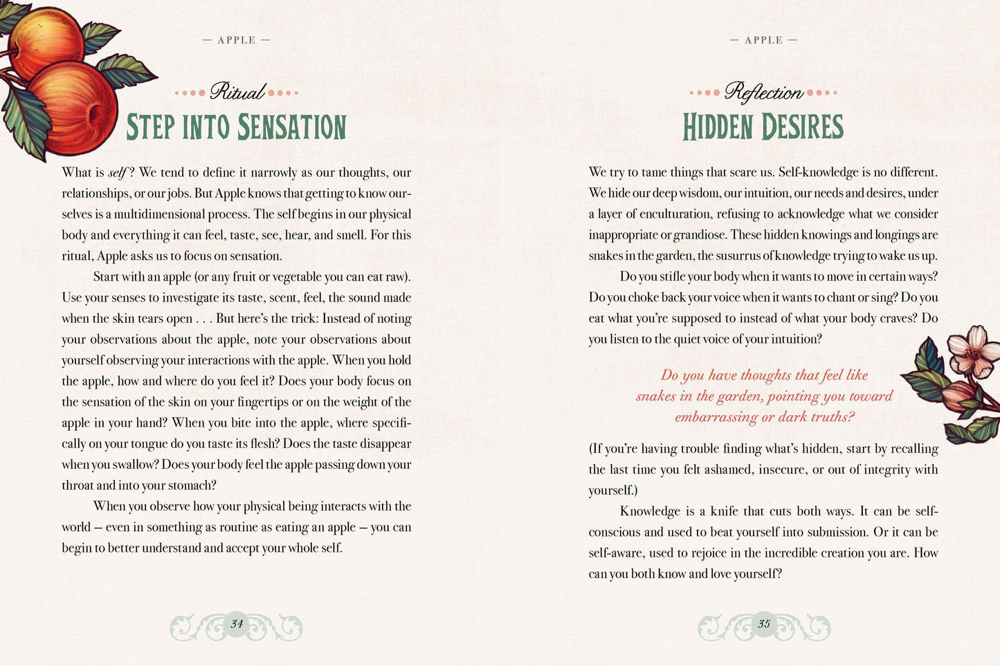 The Illustrated Herbiary: Guidance and Rituals from 36 Bewitching Botanicals