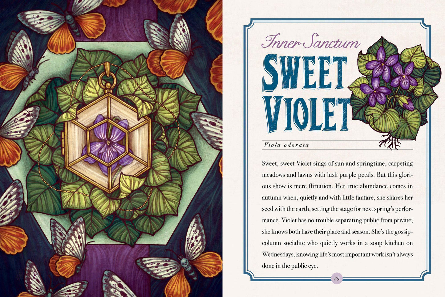 The Illustrated Herbiary: Guidance and Rituals from 36 Bewitching Botanicals
