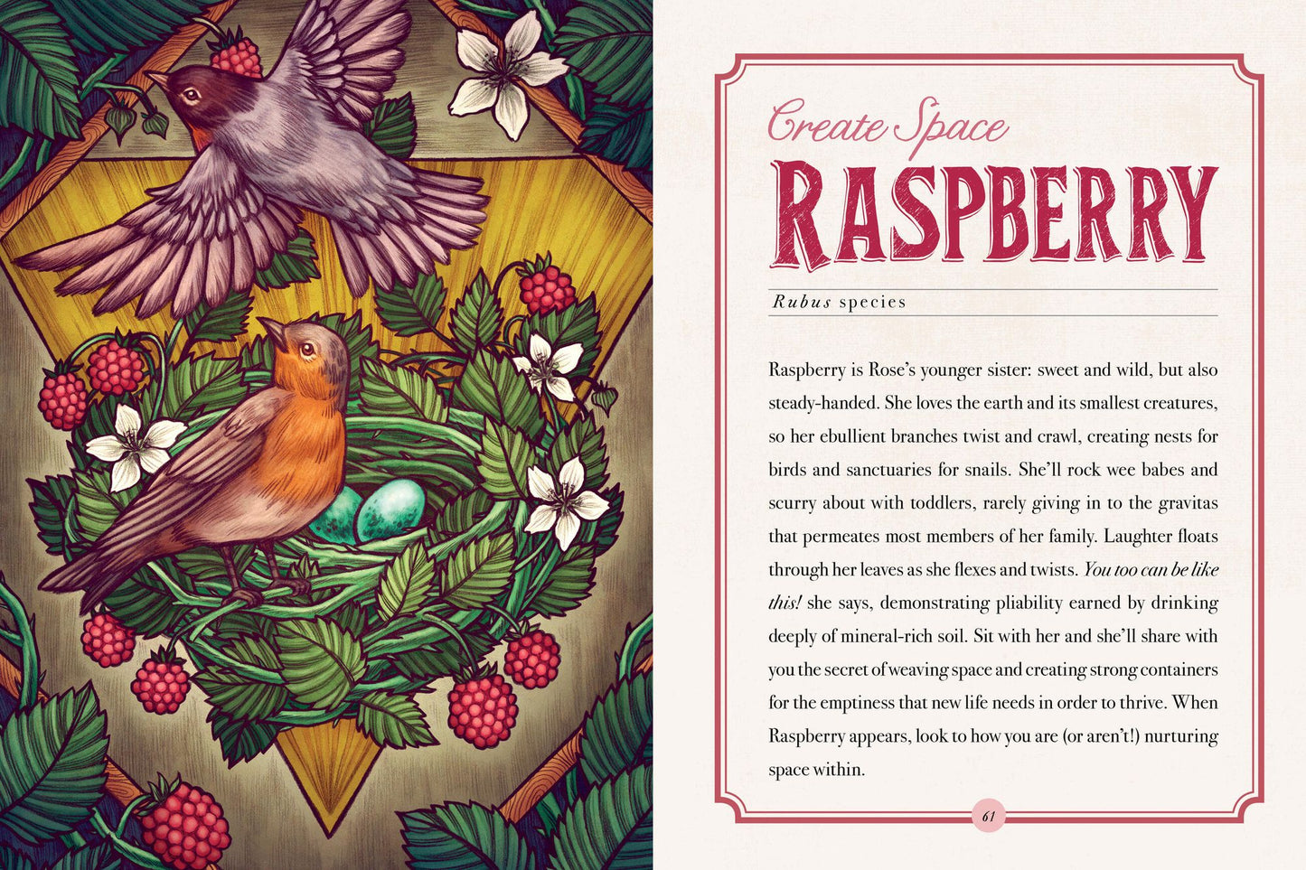 The Illustrated Herbiary: Guidance and Rituals from 36 Bewitching Botanicals