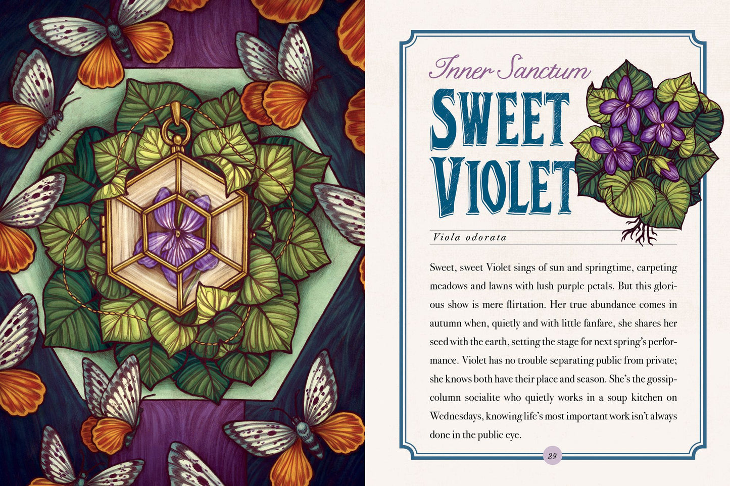 The Illustrated Herbiary: Guidance and Rituals from 36 Bewitching Botanicals
