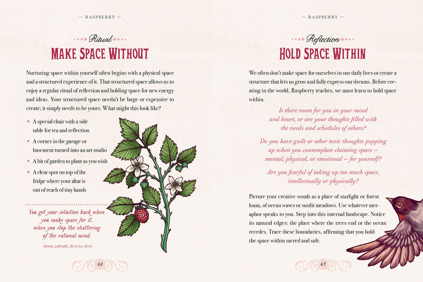 The Illustrated Herbiary: Guidance and Rituals from 36 Bewitching Botanicals