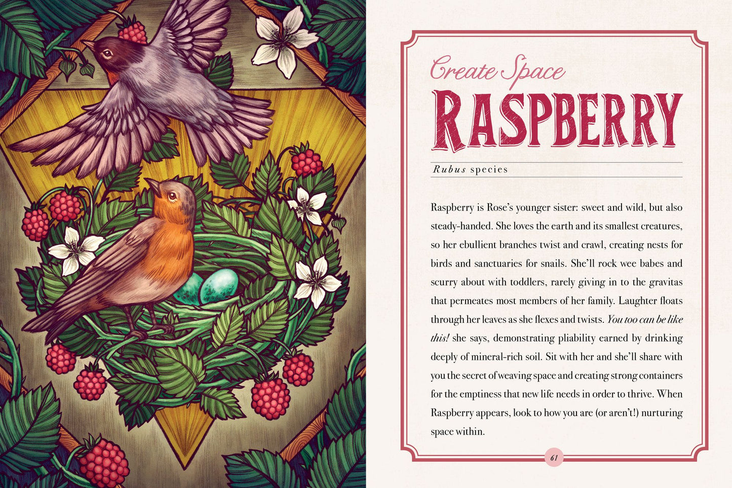 The Illustrated Herbiary: Guidance and Rituals from 36 Bewitching Botanicals