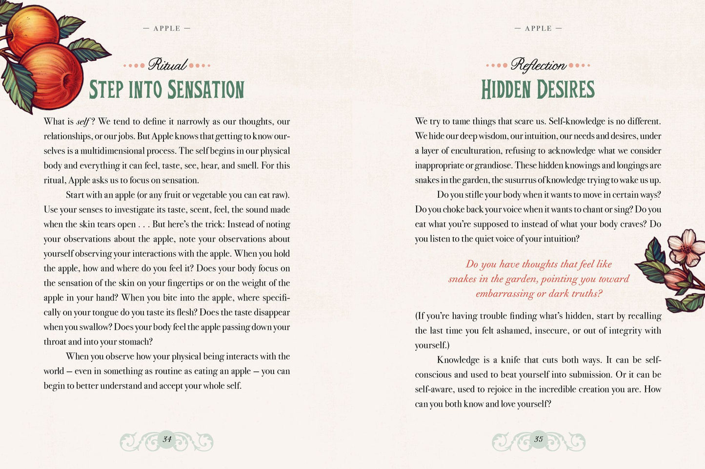 The Illustrated Herbiary: Guidance and Rituals from 36 Bewitching Botanicals