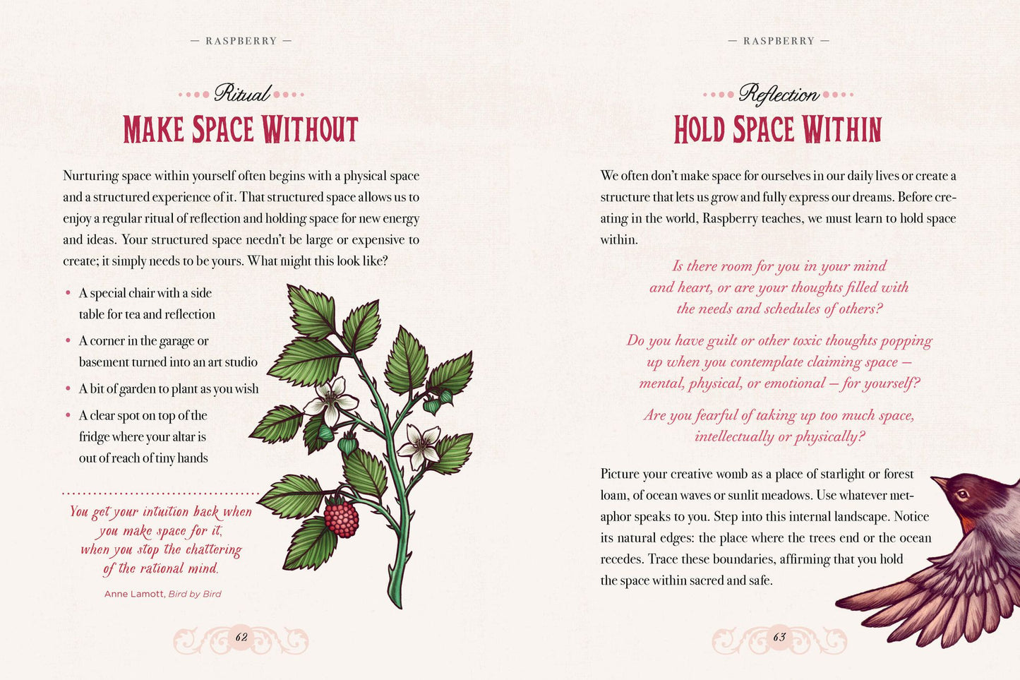 The Illustrated Herbiary: Guidance and Rituals from 36 Bewitching Botanicals