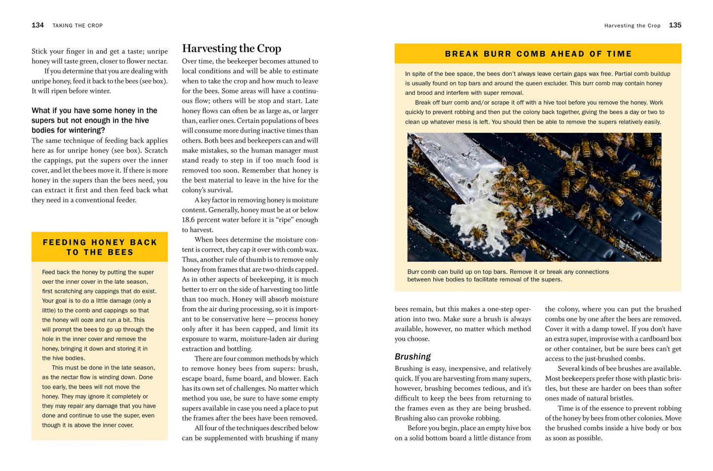 Storey's Guide to Keeping Honey Bees, 2nd Edition: Honey Production, Pollination, Health