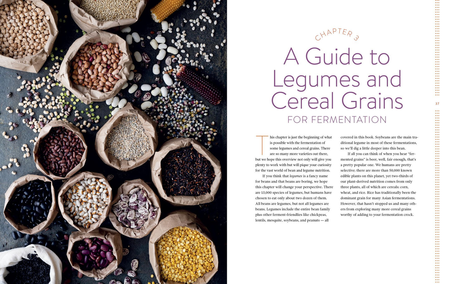 Miso, Tempeh, Natto & Other Tasty Ferments: A Step-By-Step Guide to Fermenting Grains and Beans for Umami and Health