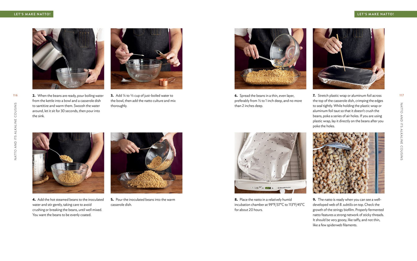 Miso, Tempeh, Natto & Other Tasty Ferments: A Step-By-Step Guide to Fermenting Grains and Beans for Umami and Health