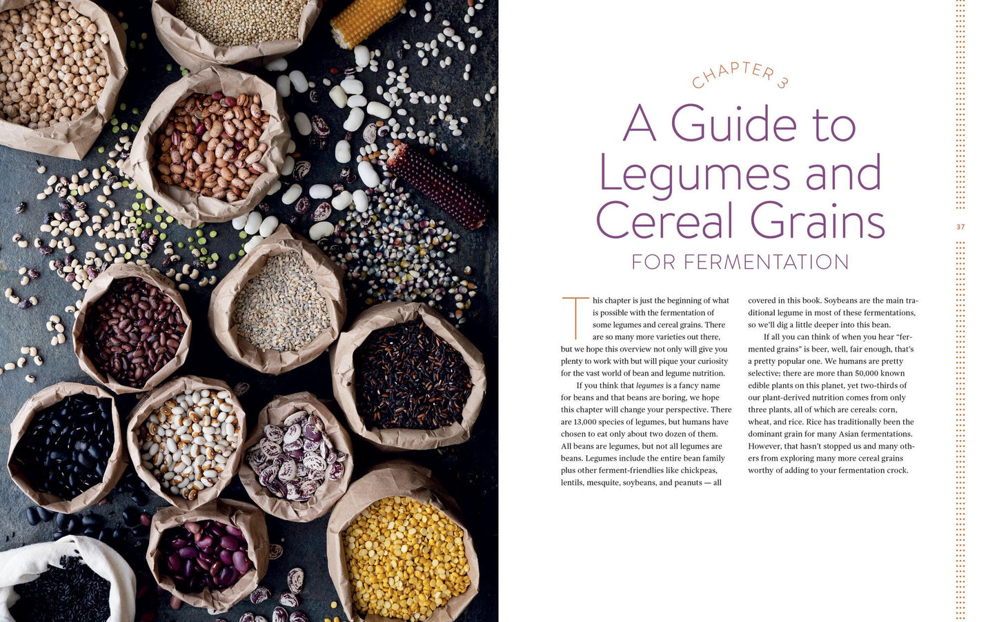 Miso, Tempeh, Natto & Other Tasty Ferments: A Step-By-Step Guide to Fermenting Grains and Beans for Umami and Health