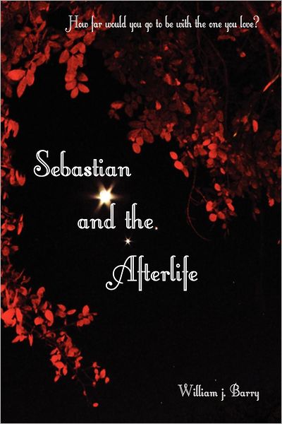 Sebastian And The Afterlife