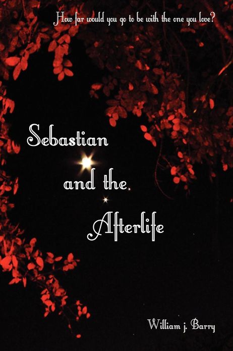 Sebastian And The Afterlife